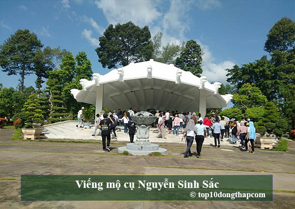 Viếng mộ cụ Nguyễn Sinh Sắc
