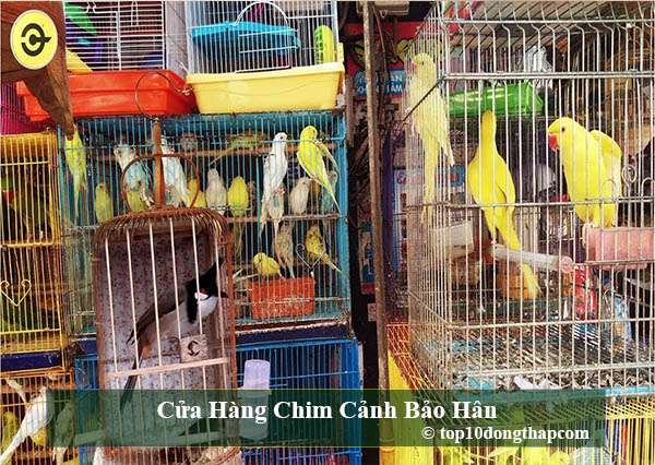 Cửa Hàng Chim Cảnh Bảo Hân